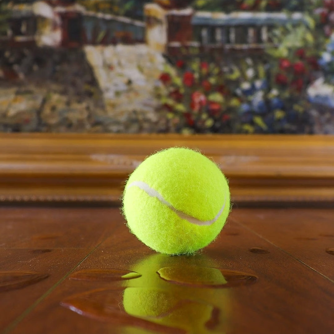 Penn High-Bounce  Tennis Training Balls - 6 Pack 18 Balls Yellow.